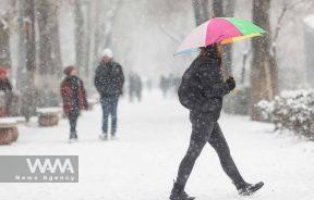 An Iranian Woman walks in a park in Tehran during snowfall in Tehran, Iran, January 15, 2023. Majid Asgaripour/WANA (West Asia News Agency)