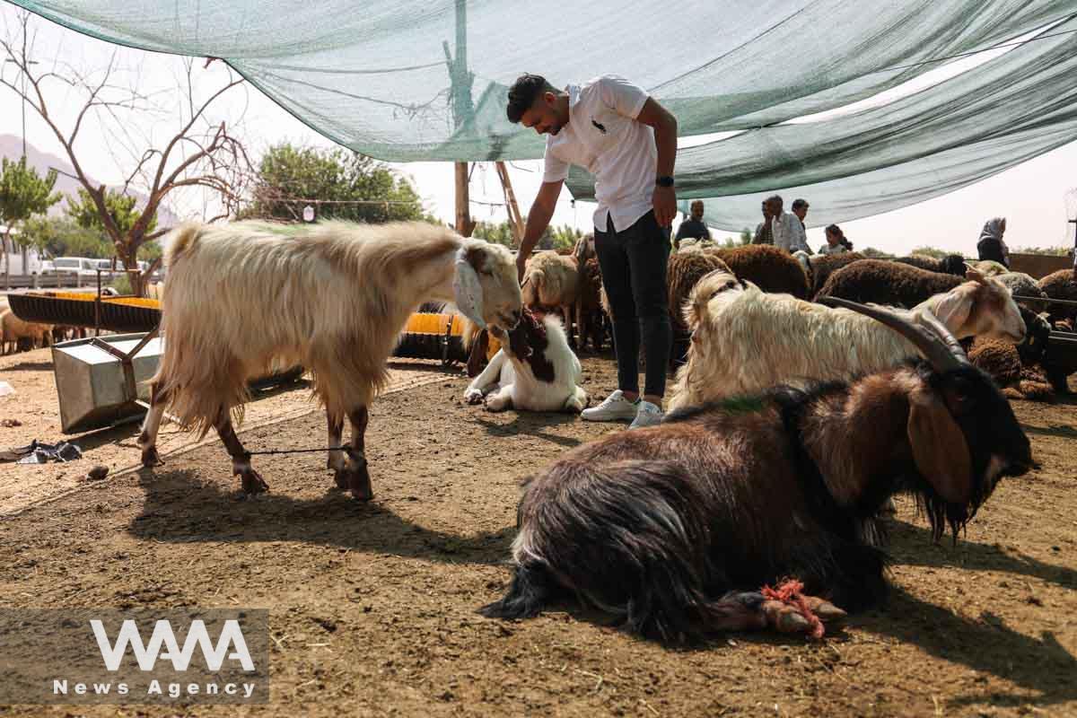 Iranians buy sheep to mark Eid al-Adha at a livestock market in southern Tehran, Iran June 29, 2023. Majid Asgaripour/WANA (West Asia News Agency)