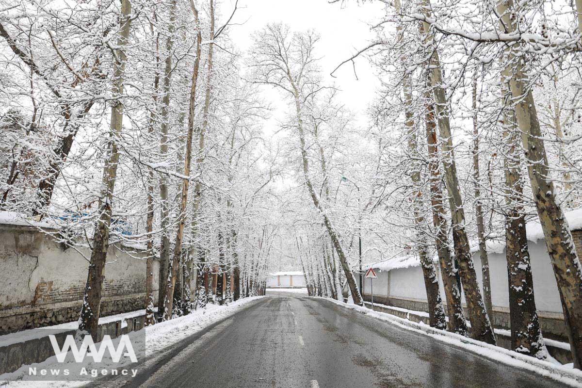 A view of snowfall in a street in Teheran, Iran/WANA (West Asia News Agency)
