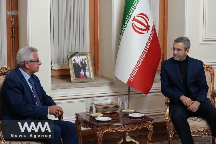 WANA - Foreign Leaders Meet Iran's Acting FM