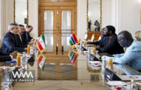 WANA - Foreign Leaders Meet Iran's Acting FM