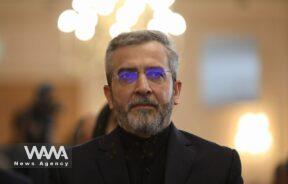Ali Bagheri, Acting Foreign Minister of Iran. Iran FM PR / WANA News Agency