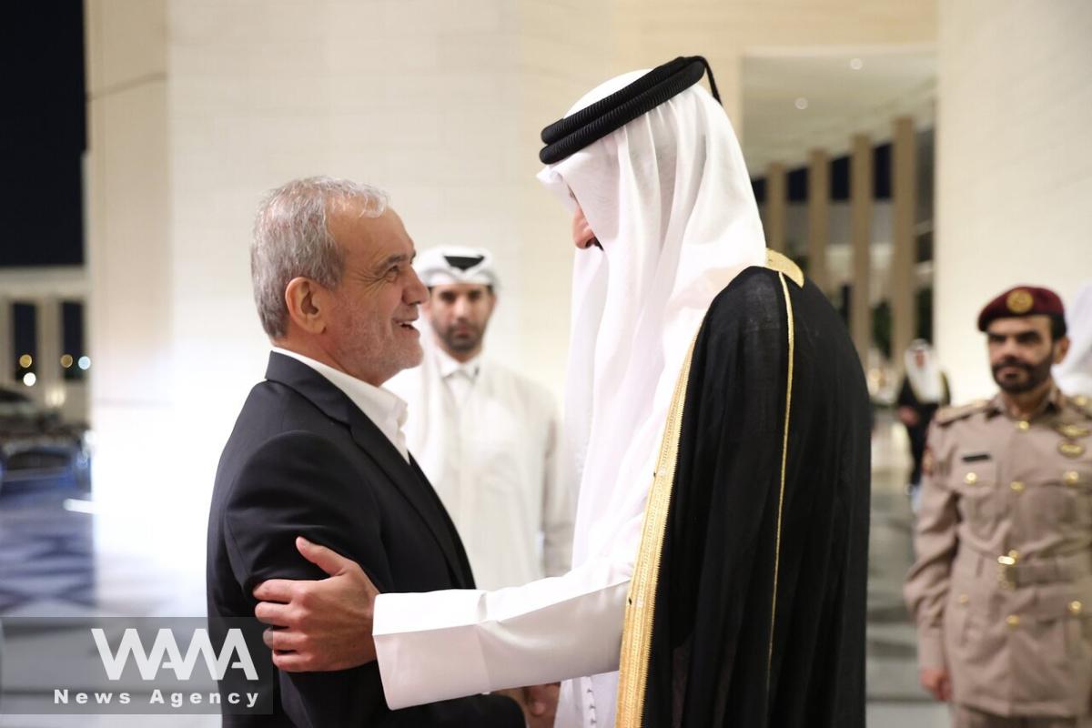 Iran's president and the Emir of Qatar /  WANA News Agency