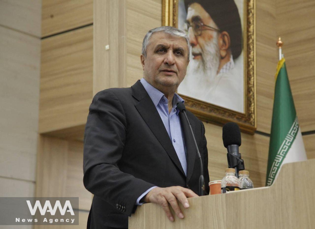 Mohammad Eslami Head of Atomic Energy Organization of Iran. AEOI / WANA News Agency