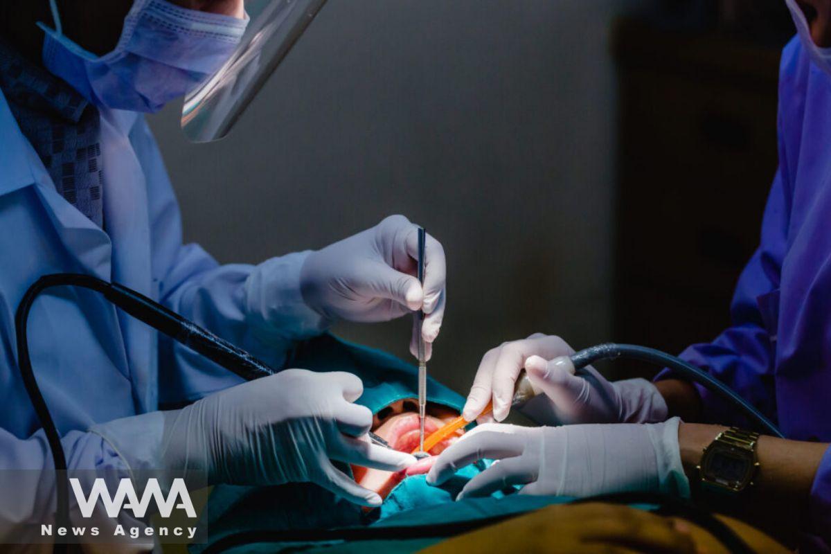 Iran Develops Multifunctional Gelatin Sponge for Dental Surgery