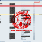 Information that Hanzala has obtained about Isaac Gertz. Social media/ WANA News Agency