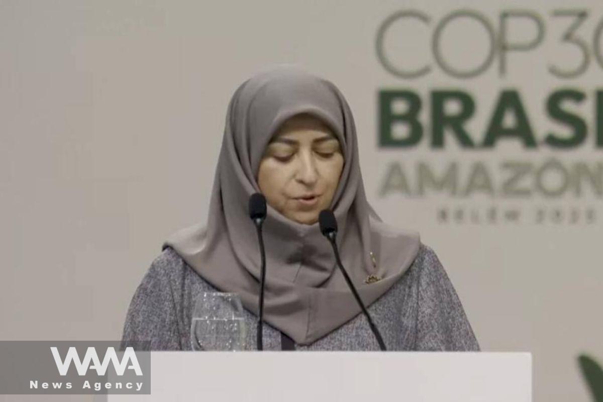 Iran’s Vice President and Head of the Department of Environment, Shina Ansari. Social media/ WANA News Agency